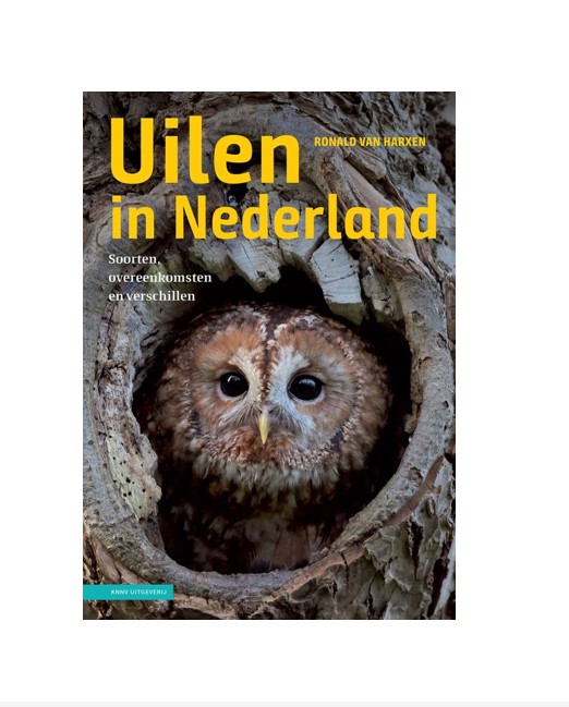 Schermafbeelding 2026-03-11 214400