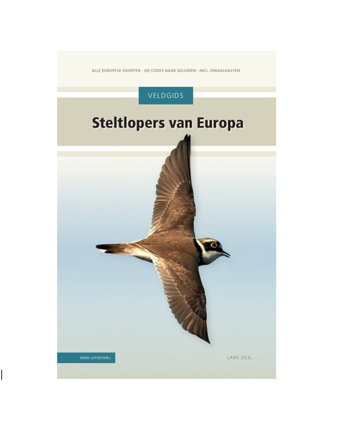 Schermafbeelding 2026-03-11 184015