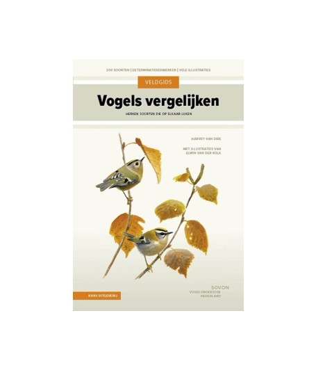 Schermafbeelding 2026-03-11 220549