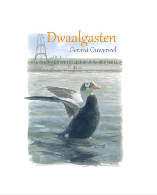 Dwaalgasten boek
