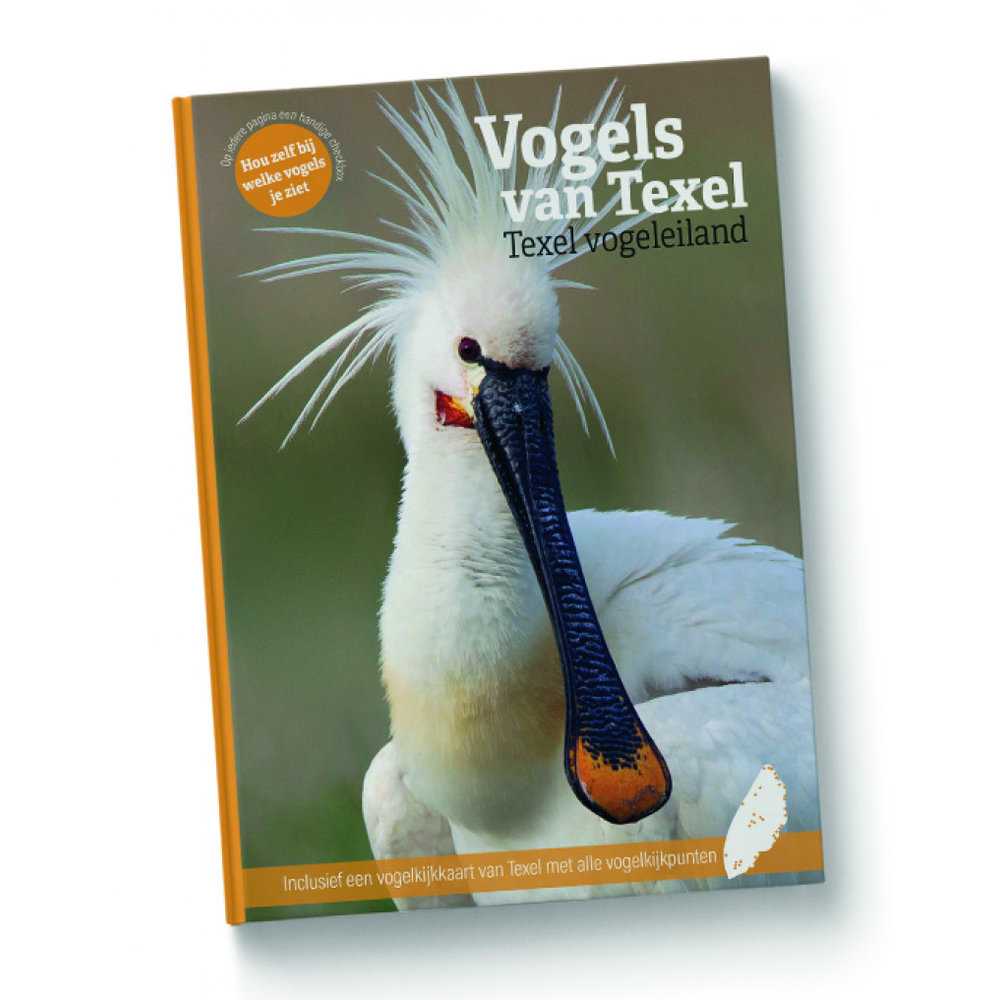 vogels-van-texel-texel-vogeleiland-538620631