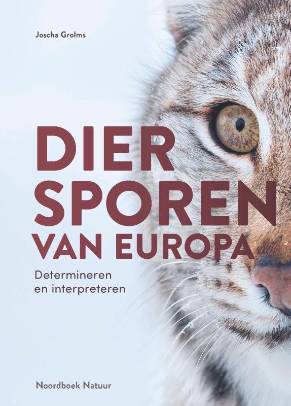 Vogelinformatiecentrum texel Diersporen van Europa image